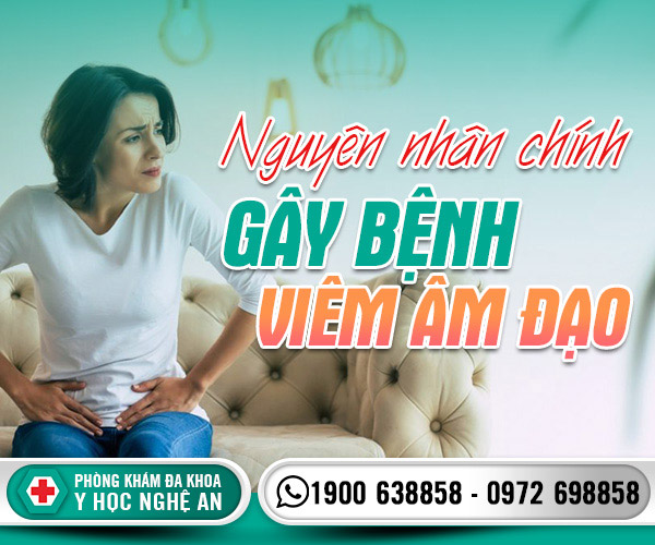 Nguyên nhân chính gây bệnh viêm âm đạo