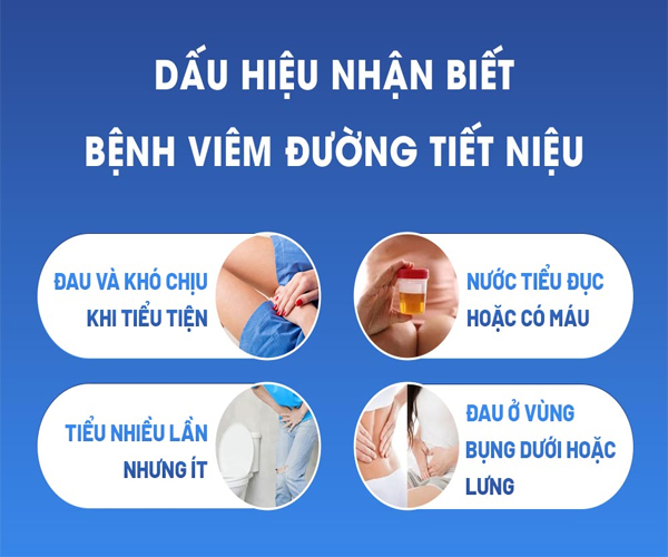 Dấu hiệu bệnh viêm đường tiết niệu